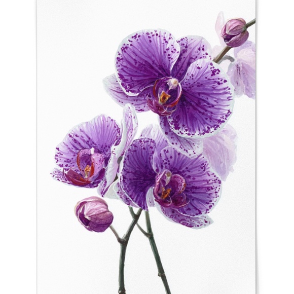 Watercolor Purple Orchids Wall Art Print Unframed - Elegant Floral Serenity - Picture 3 of 6
